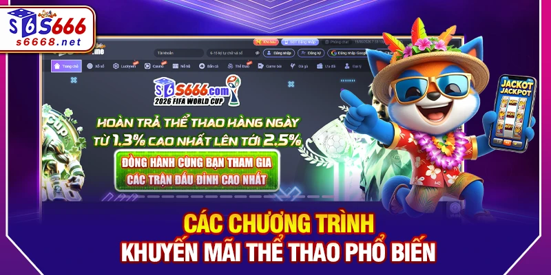 Các chương trình khuyến mãi thể thao phổ biến 