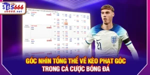 Kèo Phạt Góc - Phân Tích Chi Tiết Và Cách Nhận Định Hiệu Quả