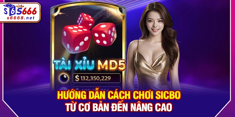 Hướng dẫn cách chơi Sicbo từ cơ bản đến nâng cao