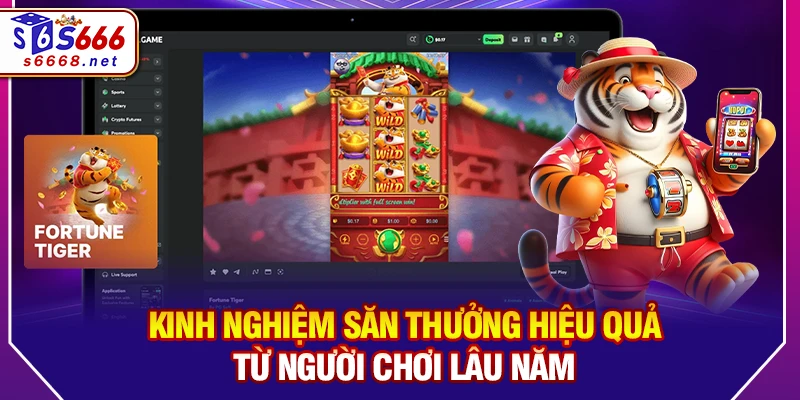 Kinh Nghiệm Săn Thưởng Hiệu Quả Từ Người Chơi Lâu Năm