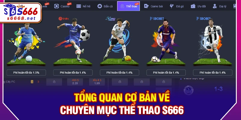 Tổng quan cơ bản về chuyên mục thể thao S666