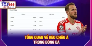 Kèo Châu Á - Bí Quyết Đọc Vị Tỷ Lệ Chấp Hiệu Quả Nhất