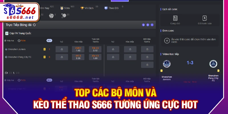 Top các bộ môn và kèo thể thao S666 tương ứng cực hot